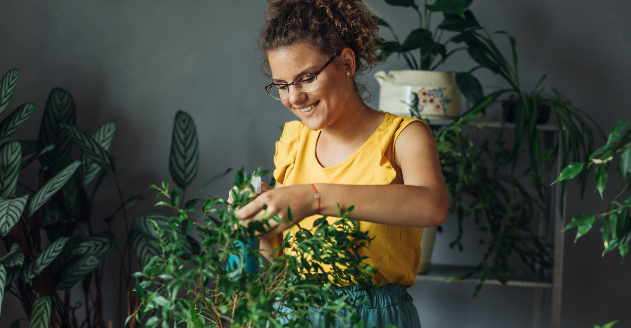 Plantas para casa pequena