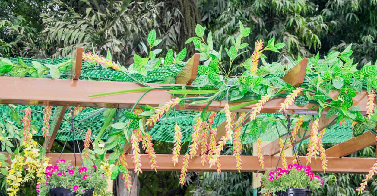 Plantas com nomes de animais
