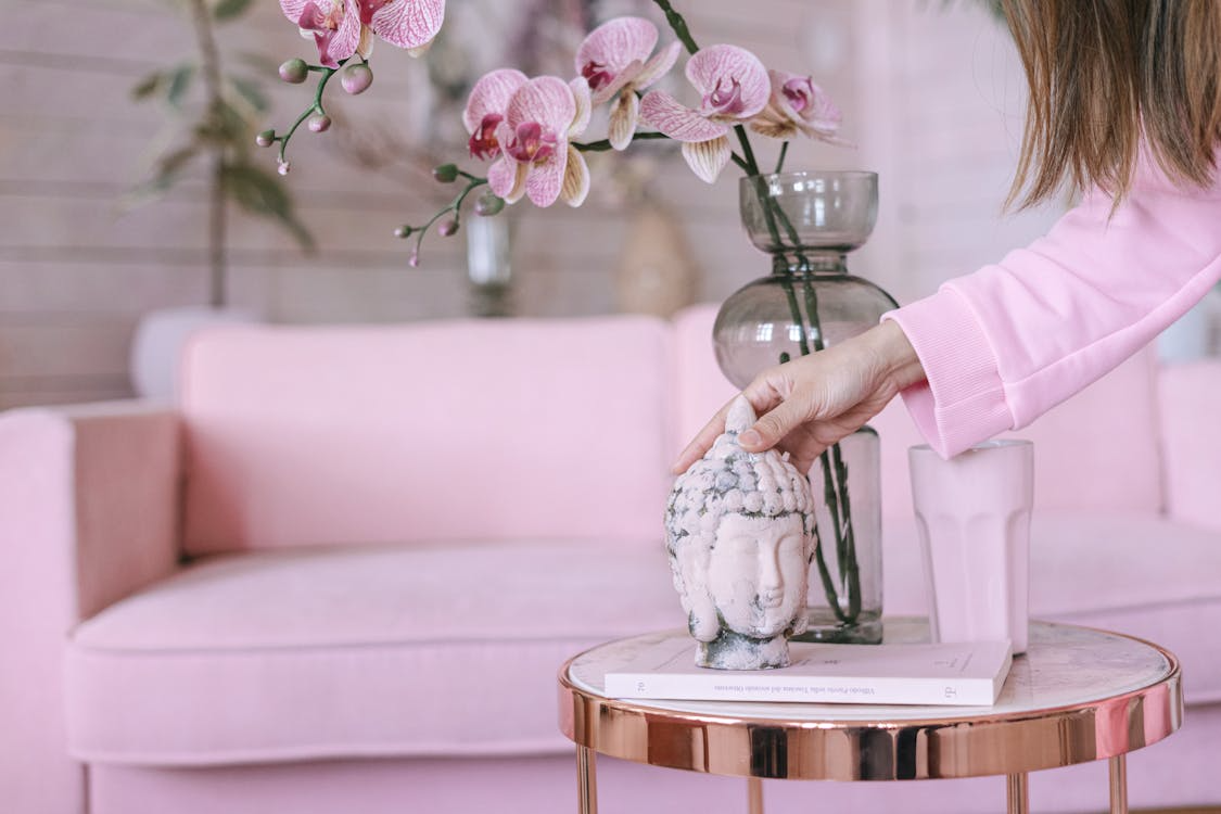 Orquídeas exuberantes em casa
