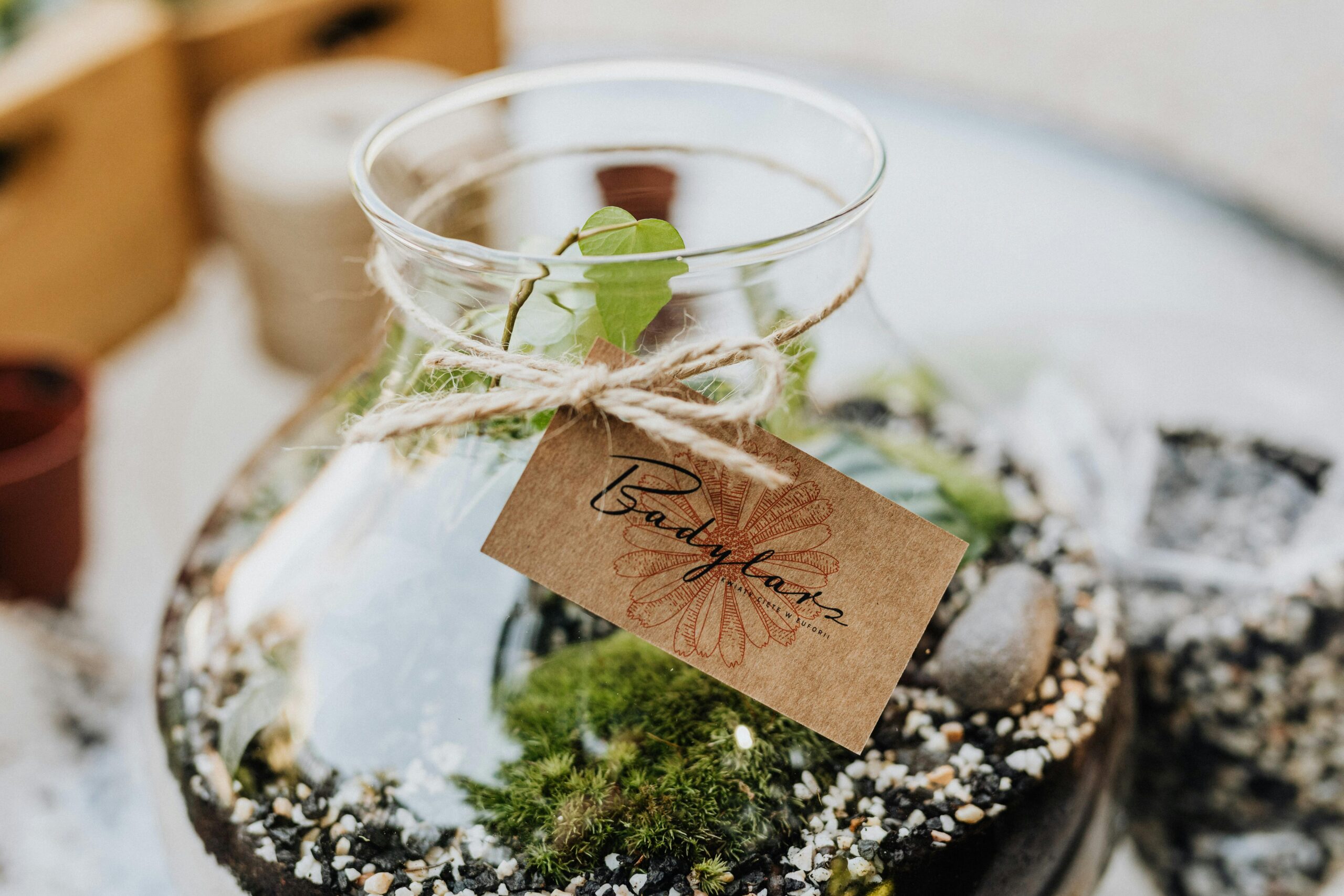 Terrário fechado em casa
