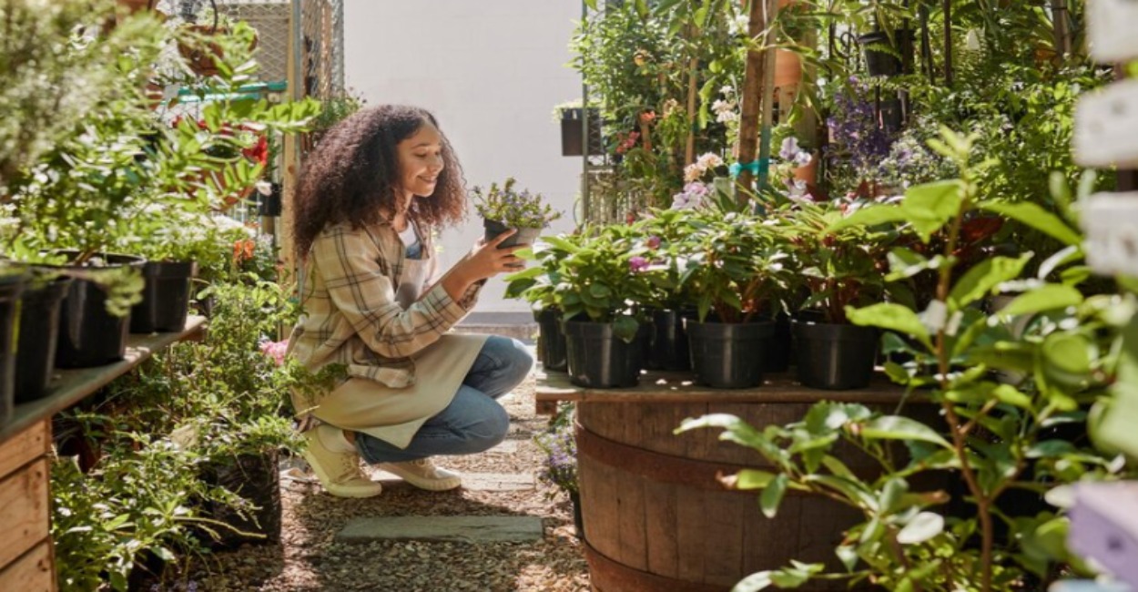 Plantas resistentes