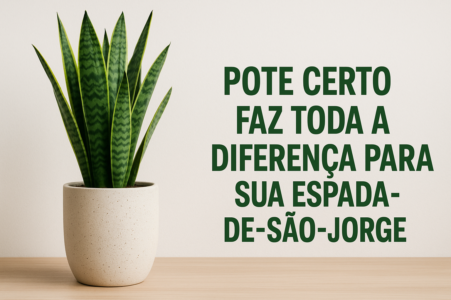 pote certo faz toda a diferença para sua espada-de-são-jorge