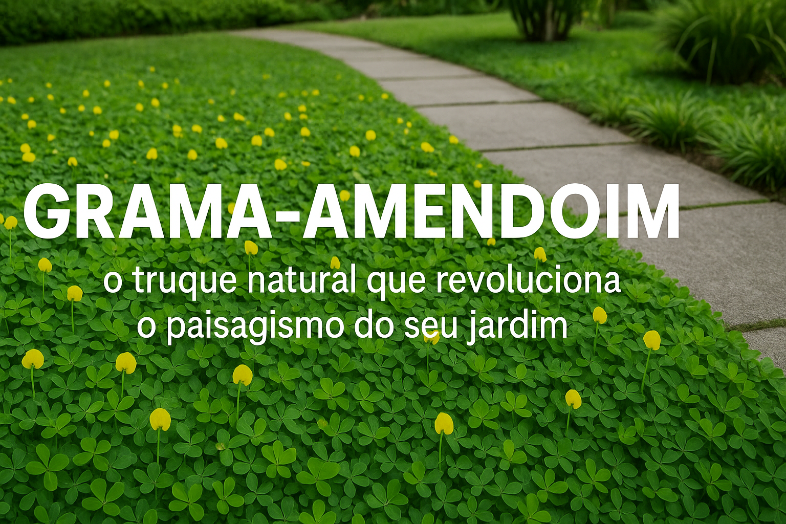 Grama-amendoim